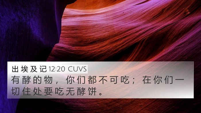 出 埃 及 记 12:20 CUVS 4K Wallpaper - 有 酵 的 物 ， 你 们 都 不 可 吃 ； - 4K Wallpaper Bible Verse
