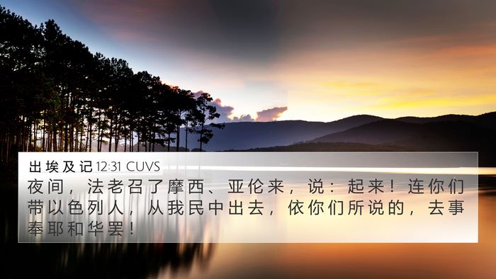 出 埃 及 记 12:31 CUVS Bible Verse Image