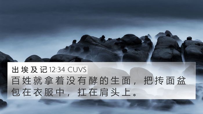 出 埃 及 记 12:34 CUVS Bible Verse Image