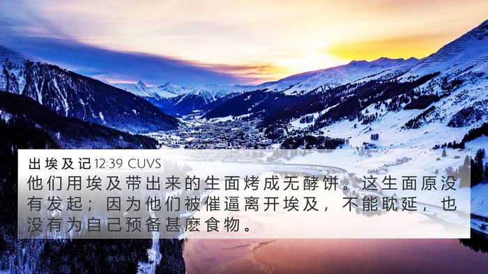 出 埃 及 记 12:39 CUVS Bible Verse Image