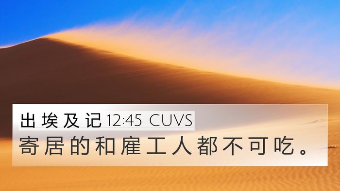 出 埃 及 记 12:45 CUVS 4K Wallpaper - 寄 居 的 和 雇 工 人 都 不 可 吃 - 4K Wallpaper Bible Verse
