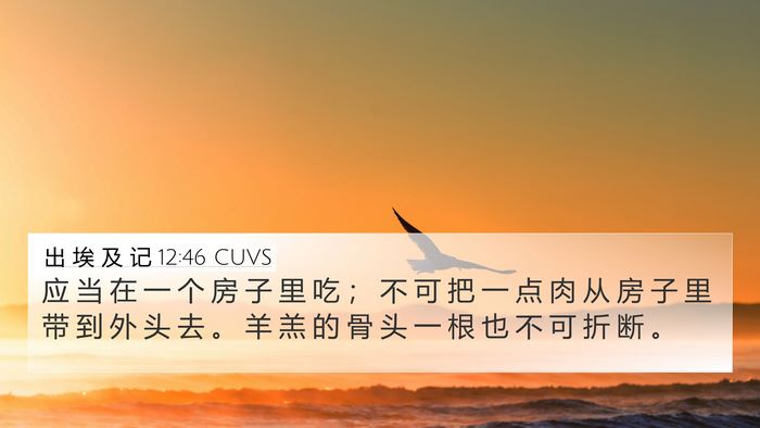 出 埃 及 记 12:46 CUVS Bible Verse Image