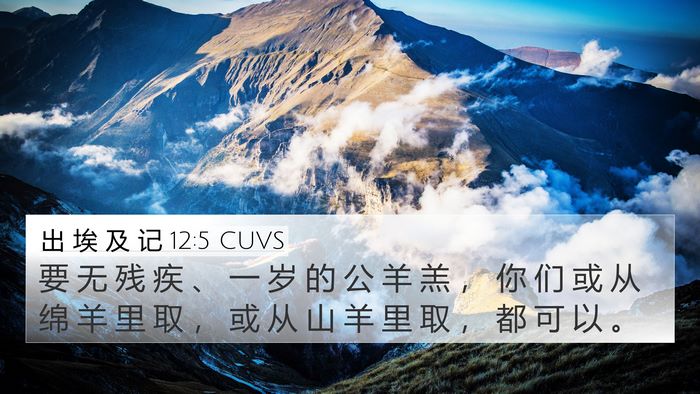 出 埃 及 记 12:5 CUVS Bible Verse Image