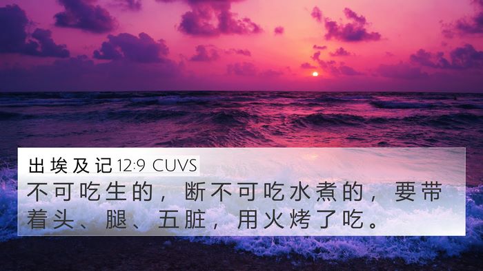 出 埃 及 记 12:9 CUVS 4K Wallpaper - 不 可 吃 生 的 ， 断 不 可 吃 水 煮 - 4K Wallpaper Bible Verse
