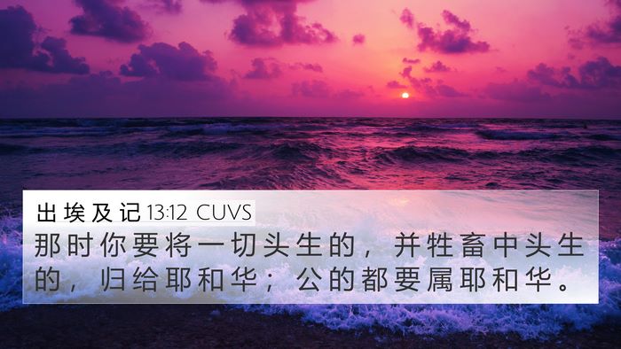 出 埃 及 记 13:12 CUVS Bible Verse Image