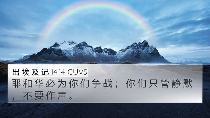 出 埃 及 记 14:14 CUVS Bible Verse Image