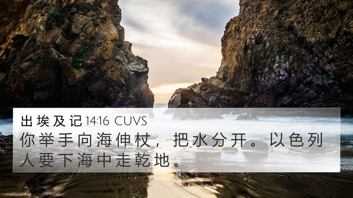 出 埃 及 记 14:16 CUVS Bible Verse Image