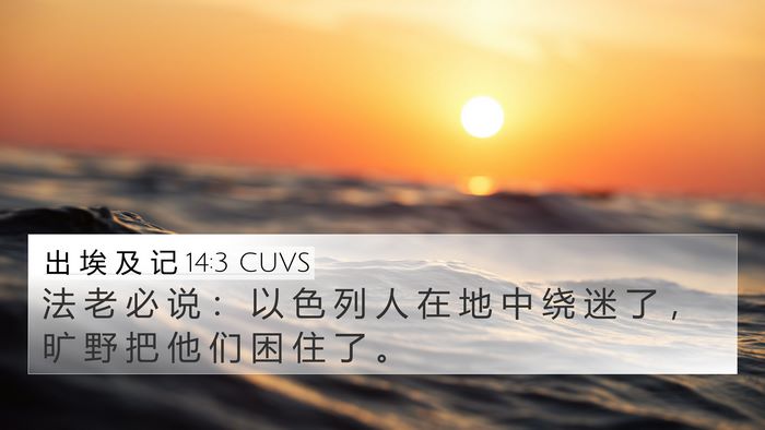出 埃 及 记 14:3 CUVS Bible Verse Image