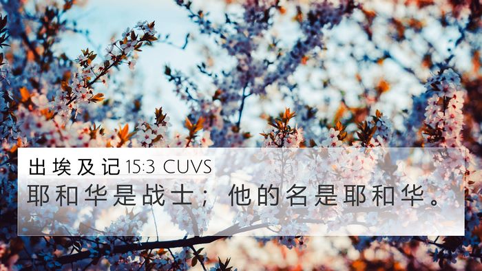 出 埃 及 记 15:3 CUVS Bible Verse Image