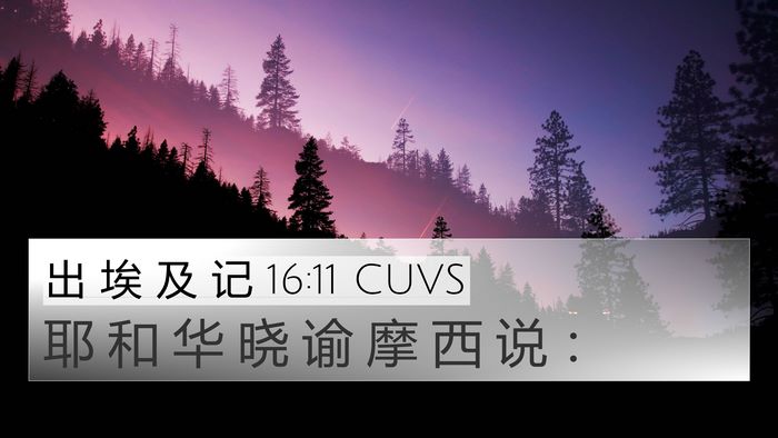 出 埃 及 记 16:11 CUVS 4K Wallpaper - 耶 和 华 晓 谕 摩 西 说 - 4K Wallpaper Bible Verse