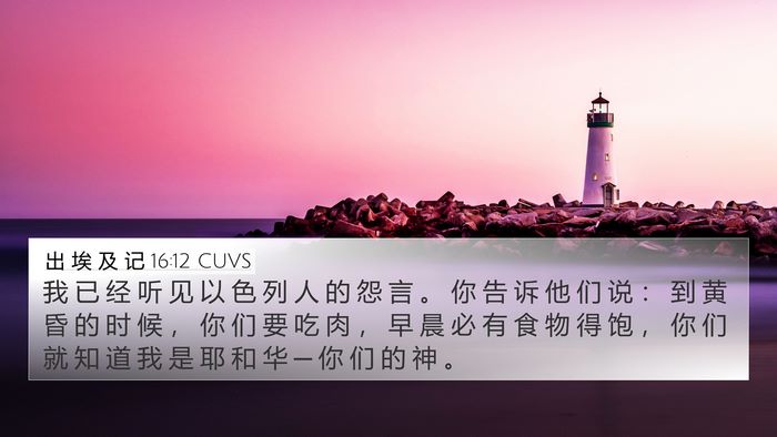 出 埃 及 记 16:12 CUVS Bible Verse Image