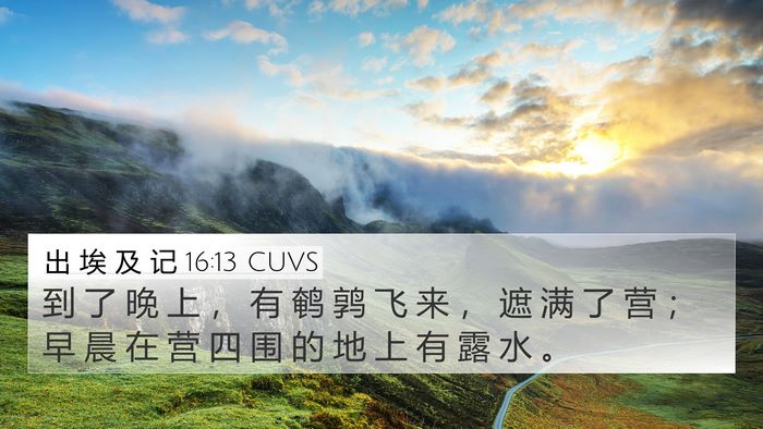 出 埃 及 记 16:13 CUVS Bible Verse Image