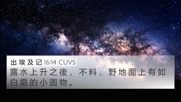 出 埃 及 记 16:14 CUVS Bible Verse Image