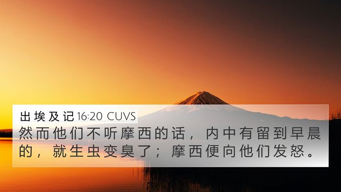 出 埃 及 记 16:20 CUVS Bible Verse Image