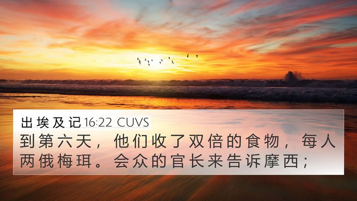 出 埃 及 记 16:22 CUVS Bible Verse Image