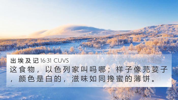 出 埃 及 记 16:31 CUVS Bible Verse Image