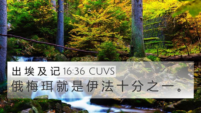出 埃 及 记 16:36 CUVS Bible Verse Image