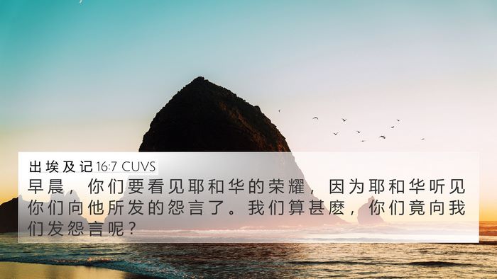 出 埃 及 记 16:7 CUVS Bible Verse Image