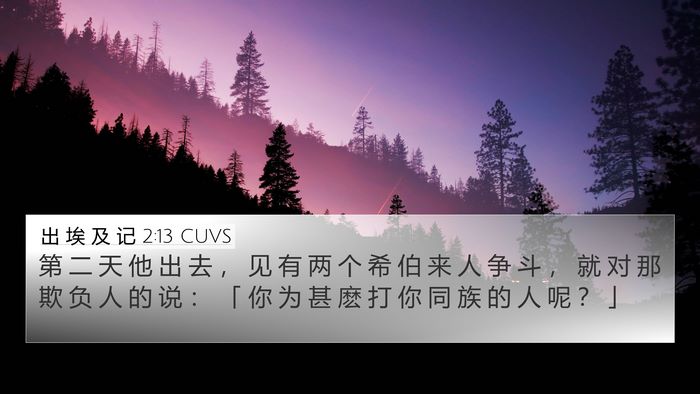 出 埃 及 记 2:13 CUVS Bible Verse Image