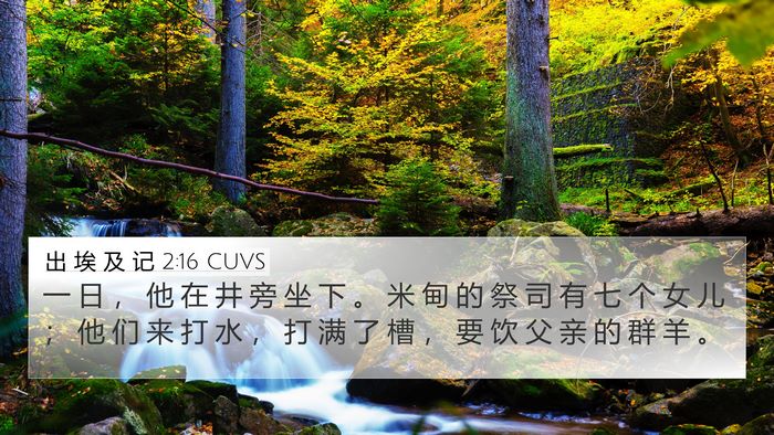 出 埃 及 记 2:16 CUVS Bible Verse Image