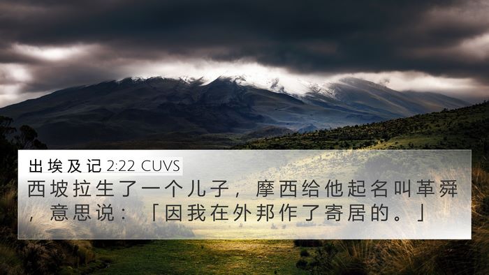 出 埃 及 记 2:22 CUVS Bible Verse Image