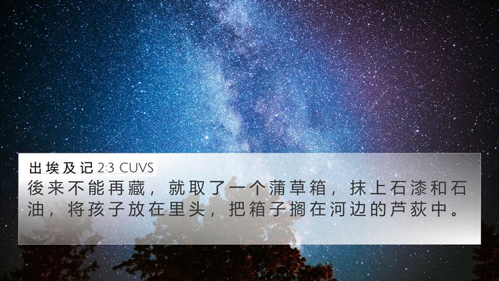 出 埃 及 记 2:3 CUVS Bible Verse Image