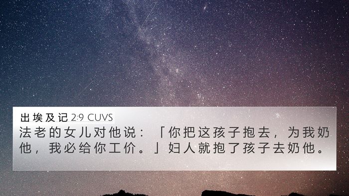 出 埃 及 记 2:9 CUVS 4K Wallpaper - 法 老 的 女 儿 对 他 说 ： 「 你 把 - 4K Wallpaper Bible Verse