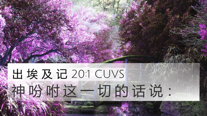 出 埃 及 记 20:1 CUVS Bible Verse Image