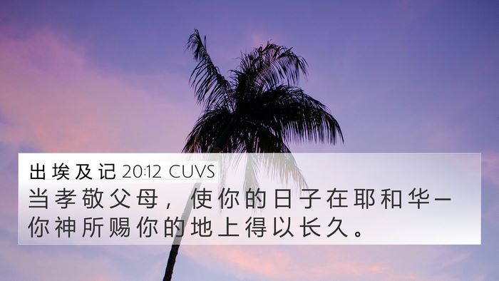 出 埃 及 记 20:12 CUVS Bible Verse Image