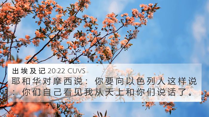 出 埃 及 记 20:22 CUVS Bible Verse Image