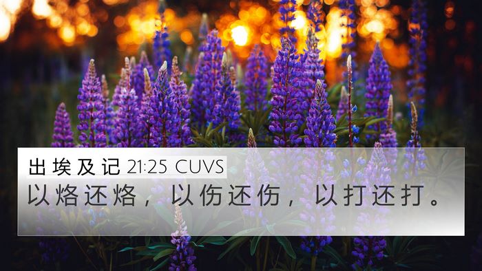 出 埃 及 记 21:25 CUVS 4K Wallpaper - 以 烙 还 烙 ， 以 伤 还 伤 ， 以 打 - 4K Wallpaper Bible Verse