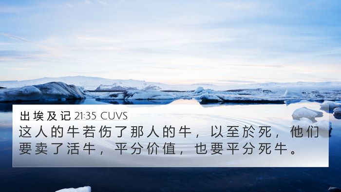 出 埃 及 记 21:35 CUVS 4K Wallpaper - 这 人 的 牛 若 伤 了 那 人 的 牛 ， - 4K Wallpaper Bible Verse