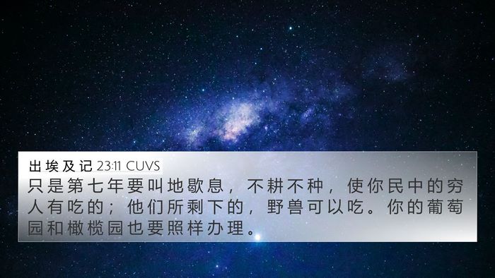 出 埃 及 记 23:11 CUVS Bible Verse Image