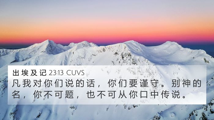 出 埃 及 记 23:13 CUVS Bible Verse Image