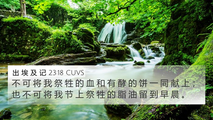 出 埃 及 记 23:18 CUVS Bible Verse Image