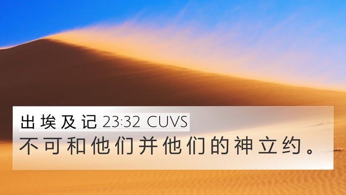 出 埃 及 记 23:32 CUVS Bible Verse Image
