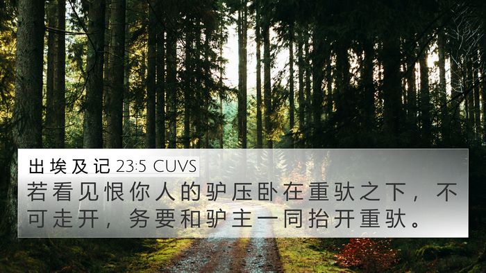 出 埃 及 记 23:5 CUVS Bible Verse Image
