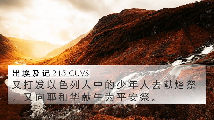 出 埃 及 记 24:5 CUVS Bible Verse Image