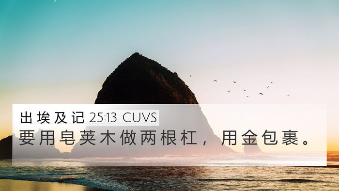 出 埃 及 记 25:13 CUVS Bible Verse Image