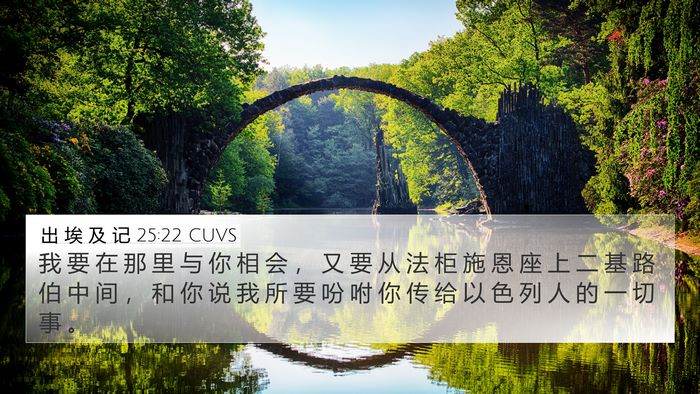 出 埃 及 记 25:22 CUVS Bible Verse Image