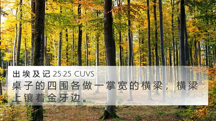 出 埃 及 记 25:25 CUVS 4K Wallpaper - 桌 子 的 四 围 各 做 一 掌 宽 的 横 - 4K Wallpaper Bible Verse