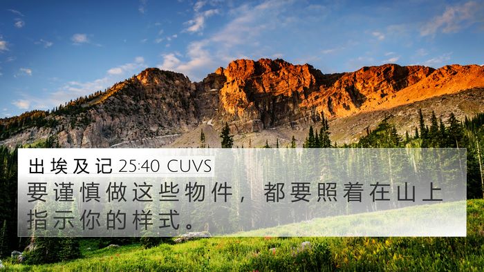 出 埃 及 记 25:40 CUVS Bible Verse Image