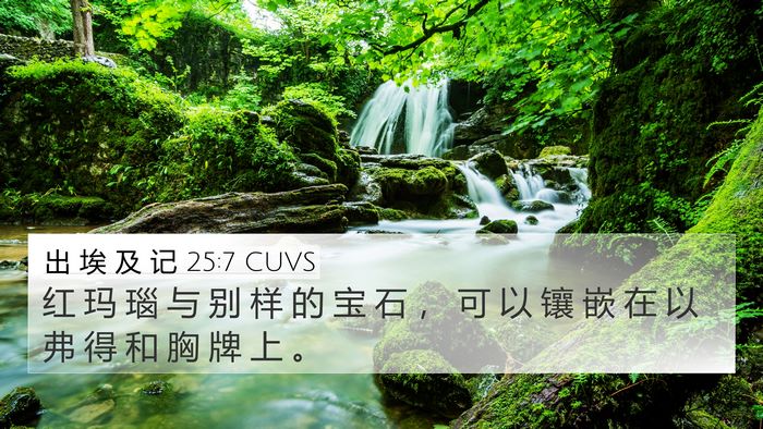 出 埃 及 记 25:7 CUVS Bible Verse Image