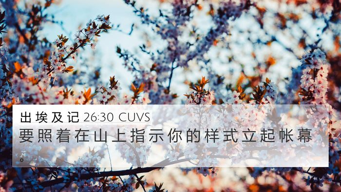 出 埃 及 记 26:30 CUVS Bible Verse Image