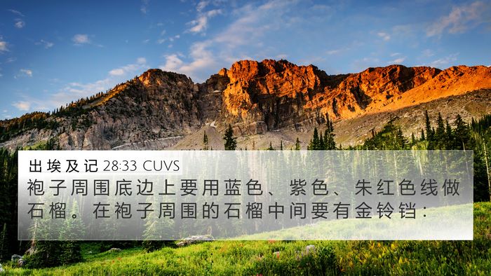 出 埃 及 记 28:33 CUVS Bible Verse Image