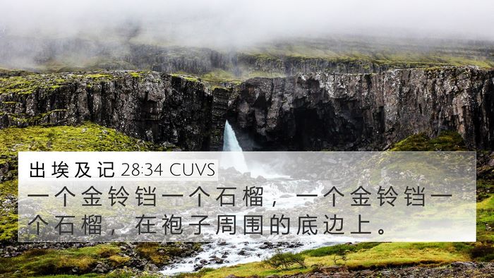 出 埃 及 记 28:34 CUVS Bible Verse Image