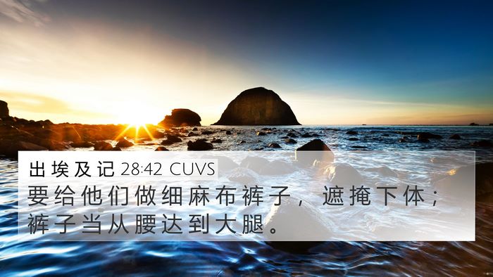 出 埃 及 记 28:42 CUVS Bible Verse Image