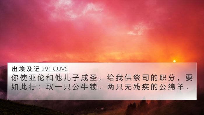 出 埃 及 记 29:1 CUVS Bible Verse Image