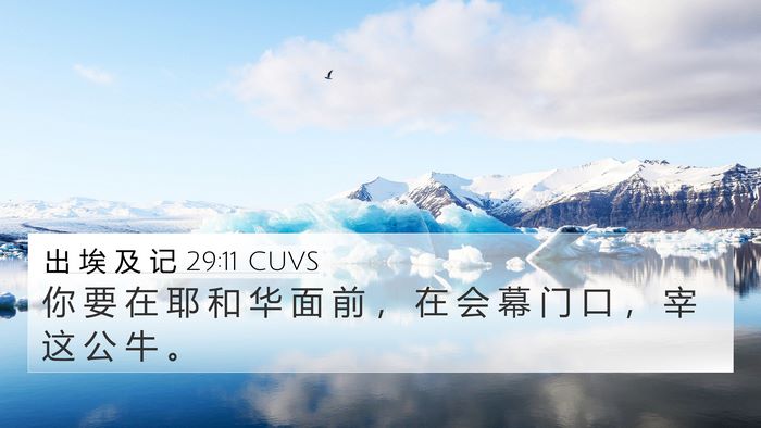 出 埃 及 记 29:11 CUVS Bible Verse Image