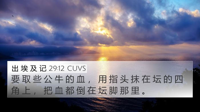 出 埃 及 记 29:12 CUVS Bible Verse Image